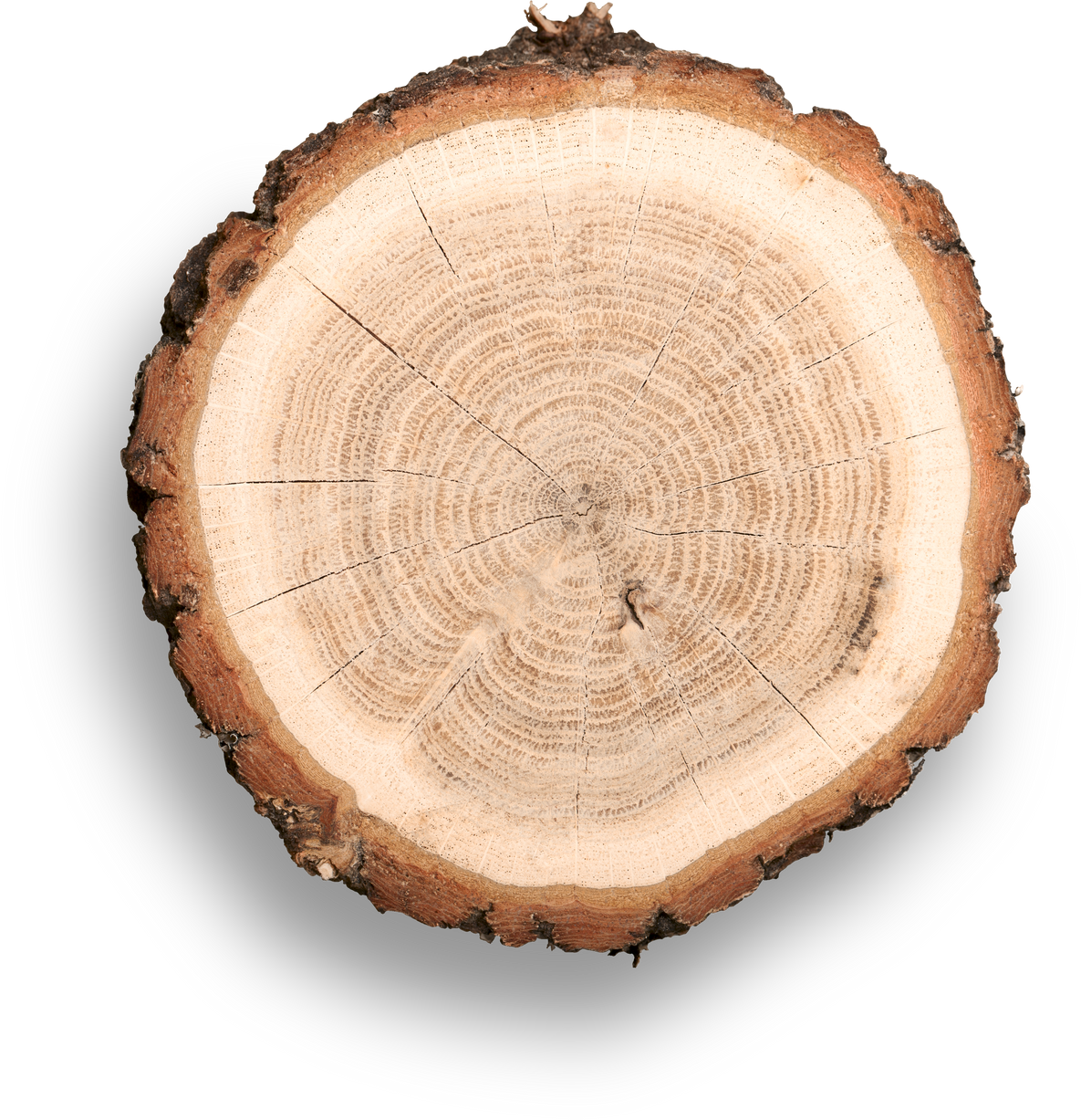 Wood.