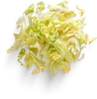 Isolated Cutout PNG